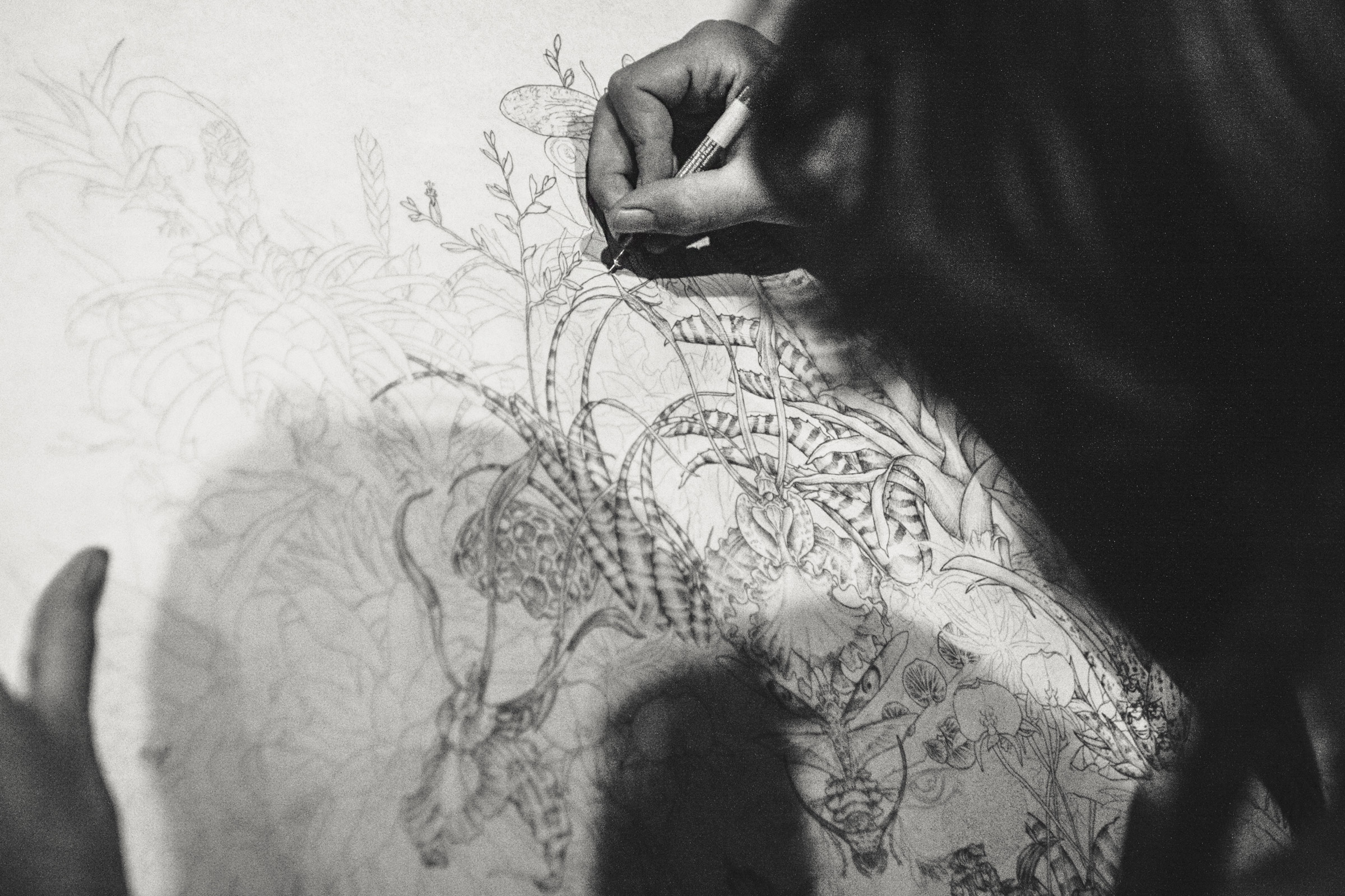 ARIEL FUJITA - Editor